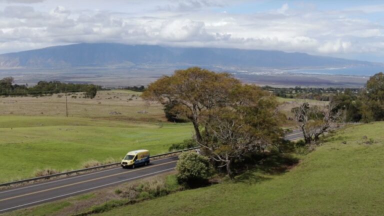 All Aloha Plumbing Oahu